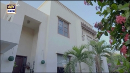 Aapa Shameem - Episode 33 - 8th January 2025